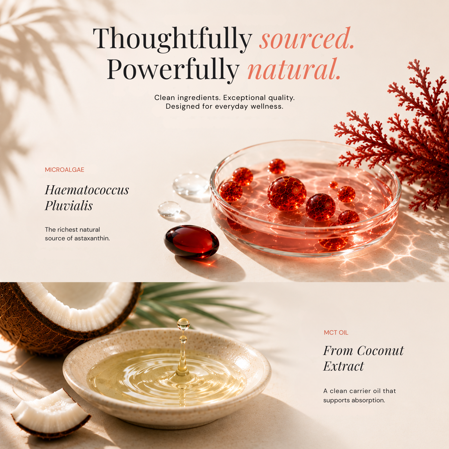 Bonafita Astaxanthin 12mg Softgels
